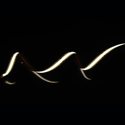 لوحة الألومنيوم شريط LED COB خال من النقاط مع 528 LED على شريط 10 ملم و 2700K/6500K لون