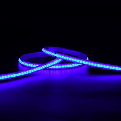 5M لكل لفة شريط مدعوم مدعوم أشرطة 576 leds ريل إلى ريل RGB السكني والتجاري مصابيح الكوب